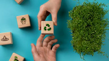 eco friendly corporate gifts