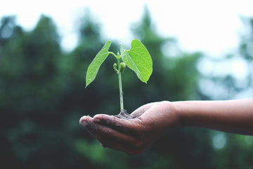 World Environment day-sustainable corporate gifts