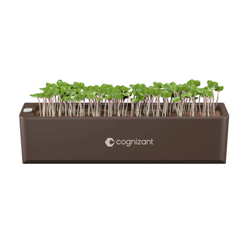Corporate-friendly Everyday Organiser Terrarium: Stylish micro-greens kit with self-watering features for a touch of nature in the office.