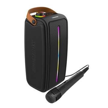 Blaupunkt Party Speaker – Stylish, powerful, and perfect for any event.